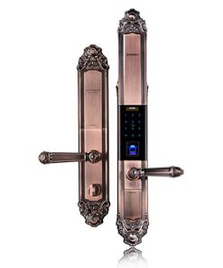 Khóa vân tay Tân cổ điển cao cấp Kaadas 6002